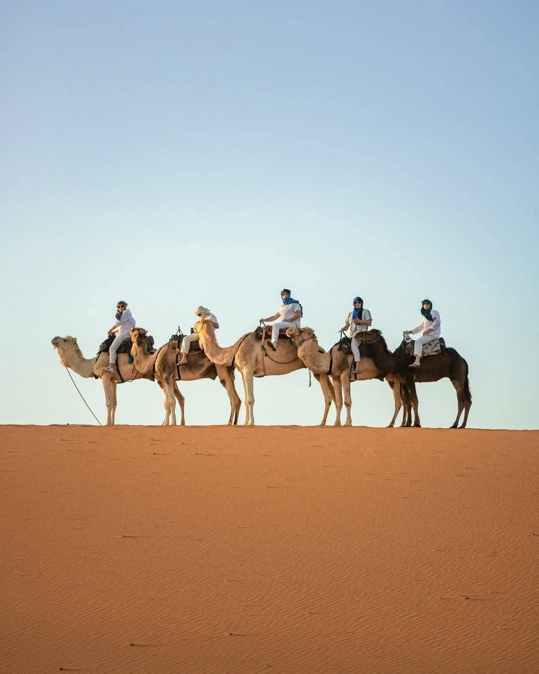 Sahara desert dunes